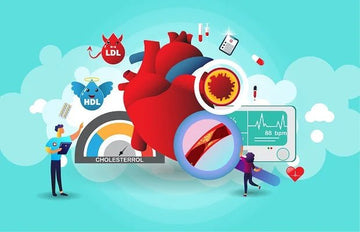 Cholesterol's 15 Common Myths You Need To Stop Believing Today - LabMe