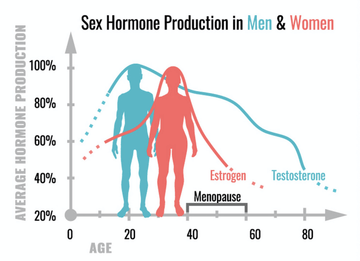 Knee Replacement and Latest Research on Number 1 Hormone Testosterone. - LabMe