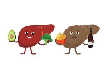 Lifestyle Habits For Better Liver Health - LabMe