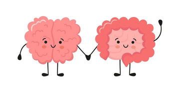 The Three Most Important Brain Chemicals - Latest 3 Updates - LabMe