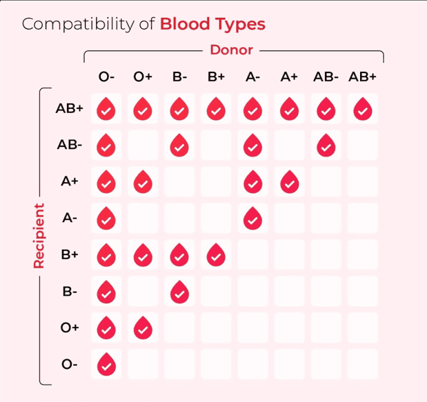 Compatibility Of Blood Types: ABO Blood Group System - Lab Me